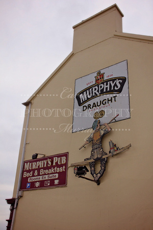 There sure are a lot o' Murphys in Dingle!   :-)