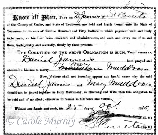 1883:  After Richard died in 1882, Mary married their neighbor, Daniel James