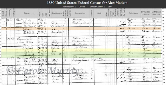 1880:  Richard, Mary and son Ben were found in Cocke County, TN in 1880