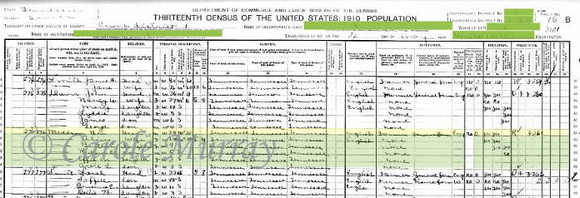 1910:  Benjamin Maddron family in the 1910 census