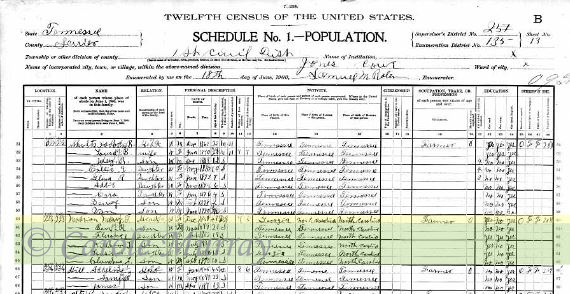 1900:  Benjamin Maddron family in the 1900 census