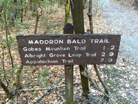 1808:  Lawson Maddron was born  in Tennessee.  Maddron Bald Trail was named after him.