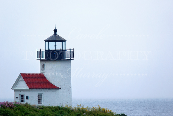 MAINE:  Curtis Island, Camden, Maine