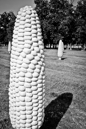 Field of Giant Corn Cobs, Dublin, Ohio (August 2014)