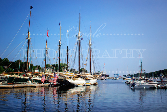 MAINE, Harbor at Camden, Maine