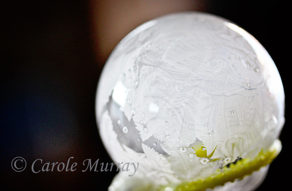 Frozen Bubbles Polar Vortex January 2014