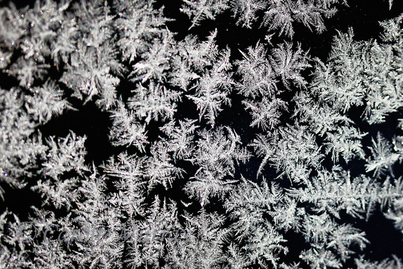 Frost Window