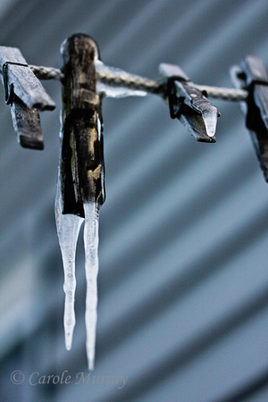 Clothes Pin Line Frozen Icicles