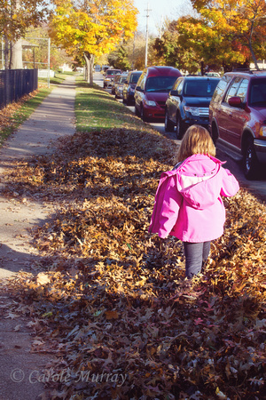 Child Walk Home School Autumn Leaves