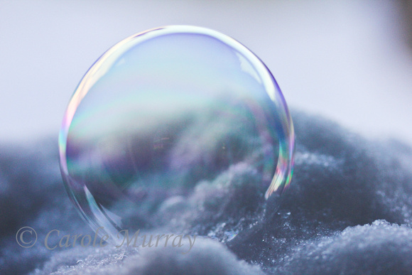 Polar Vortex Frozen Bubbles 2014