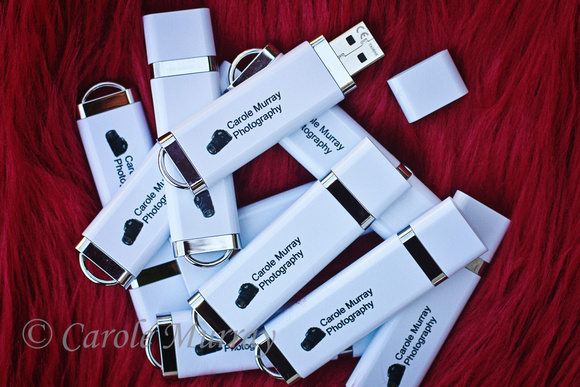 Carole Murray Photography Personalized USB Flash Drive
