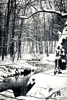 Ohio Winter Snow Metroparks Parma