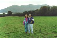 National Park, Killarney, Co. Kerry