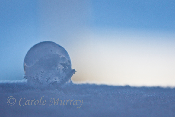 Polar Vortex Frozen Bubbles 2014