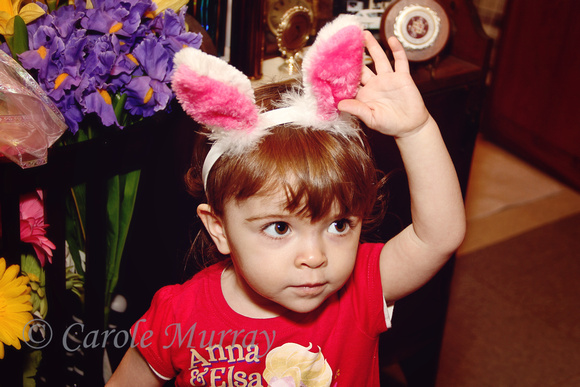 Girl Bunny Rabbit Ears