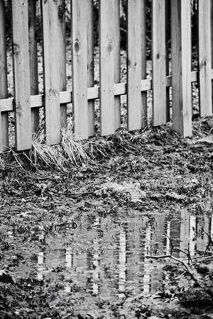 Mud Water Fence Reflection