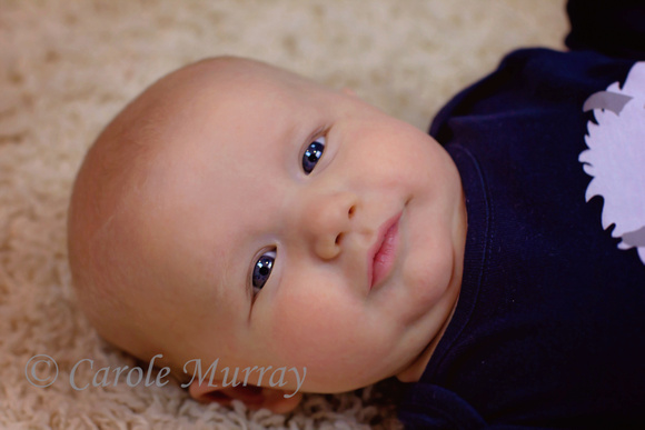 Infant Baby Chubby Cheeks