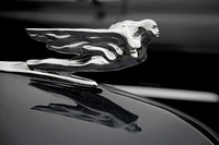 Cadillac Flying Lady Hood Ornament