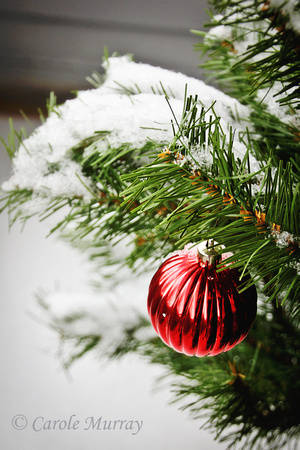 Christmas Tree Snow Ornament