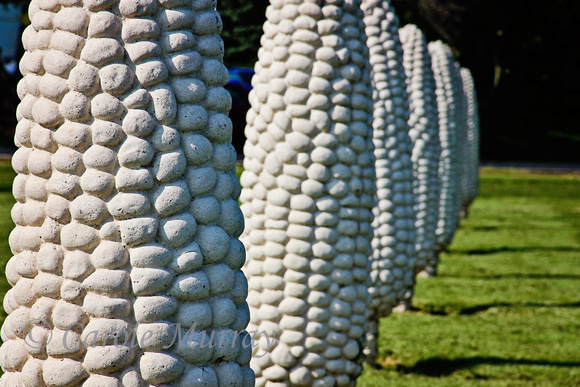 Field of Corn Dublin Ohio Sculpture Photograph